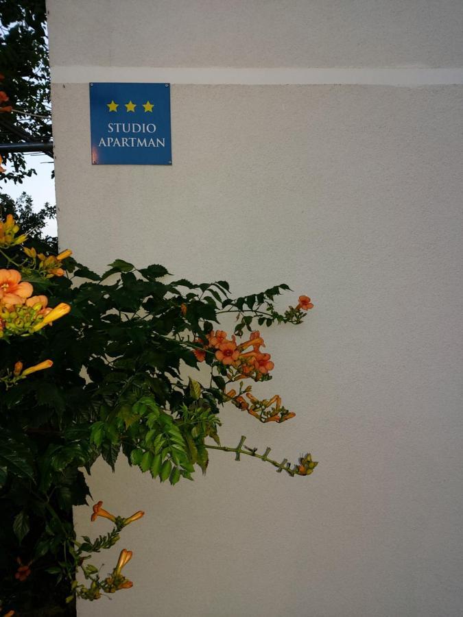 Studio Apartman Kotro Beli Manastir エクステリア 写真