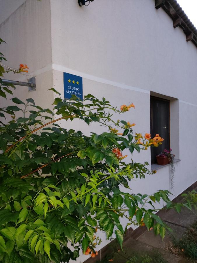 Studio Apartman Kotro Beli Manastir エクステリア 写真