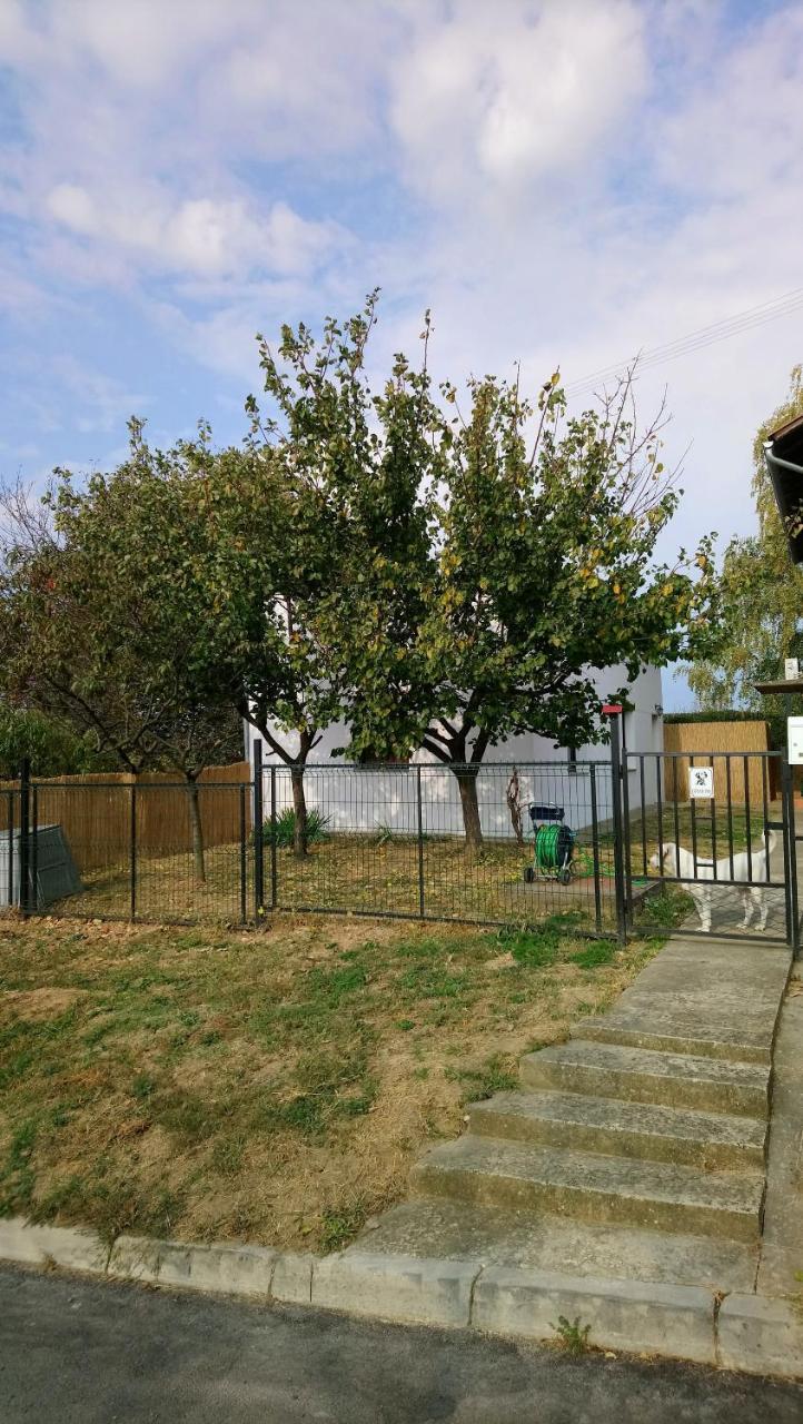 Studio Apartman Kotro Beli Manastir エクステリア 写真